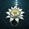 segnaless's Avatar